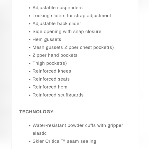 NWT Men's OBERMEYER PERSEUS SNOW BIB PANTS - Picture 13 of 13